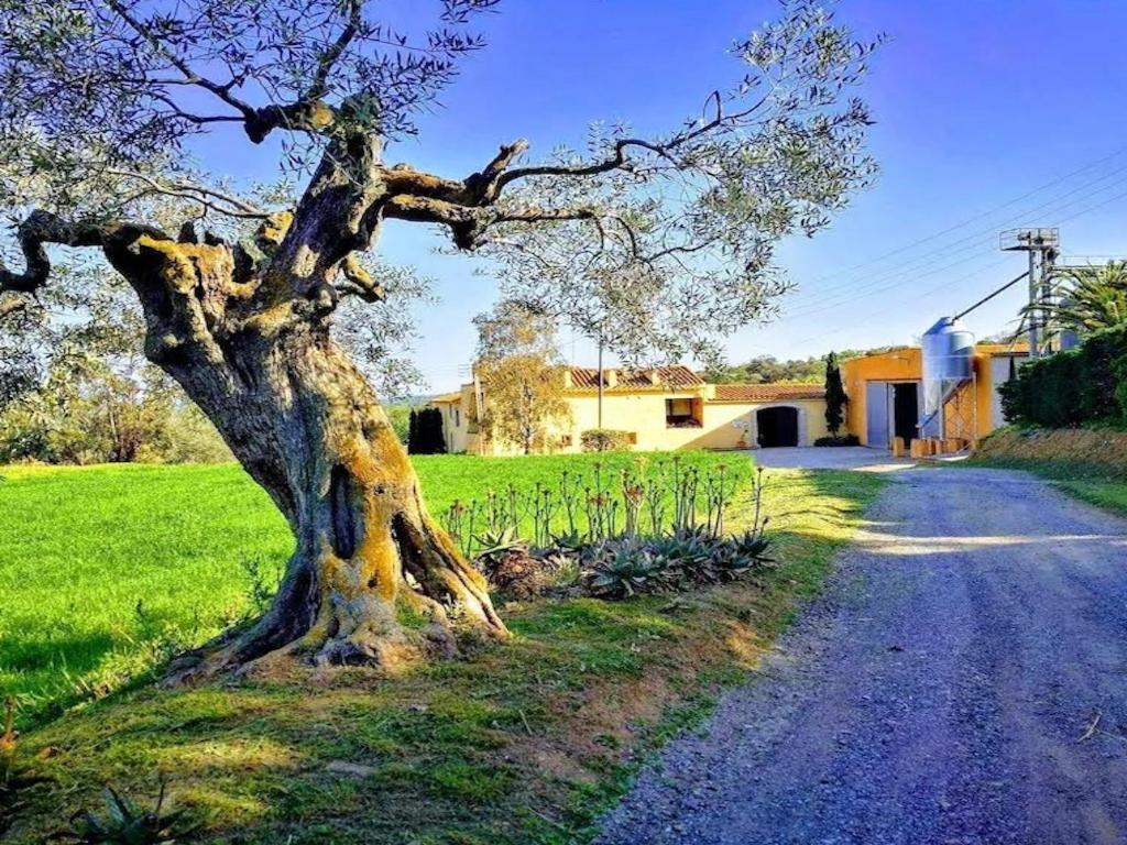 Villa Rural Mas Hortus Girona Esterno foto